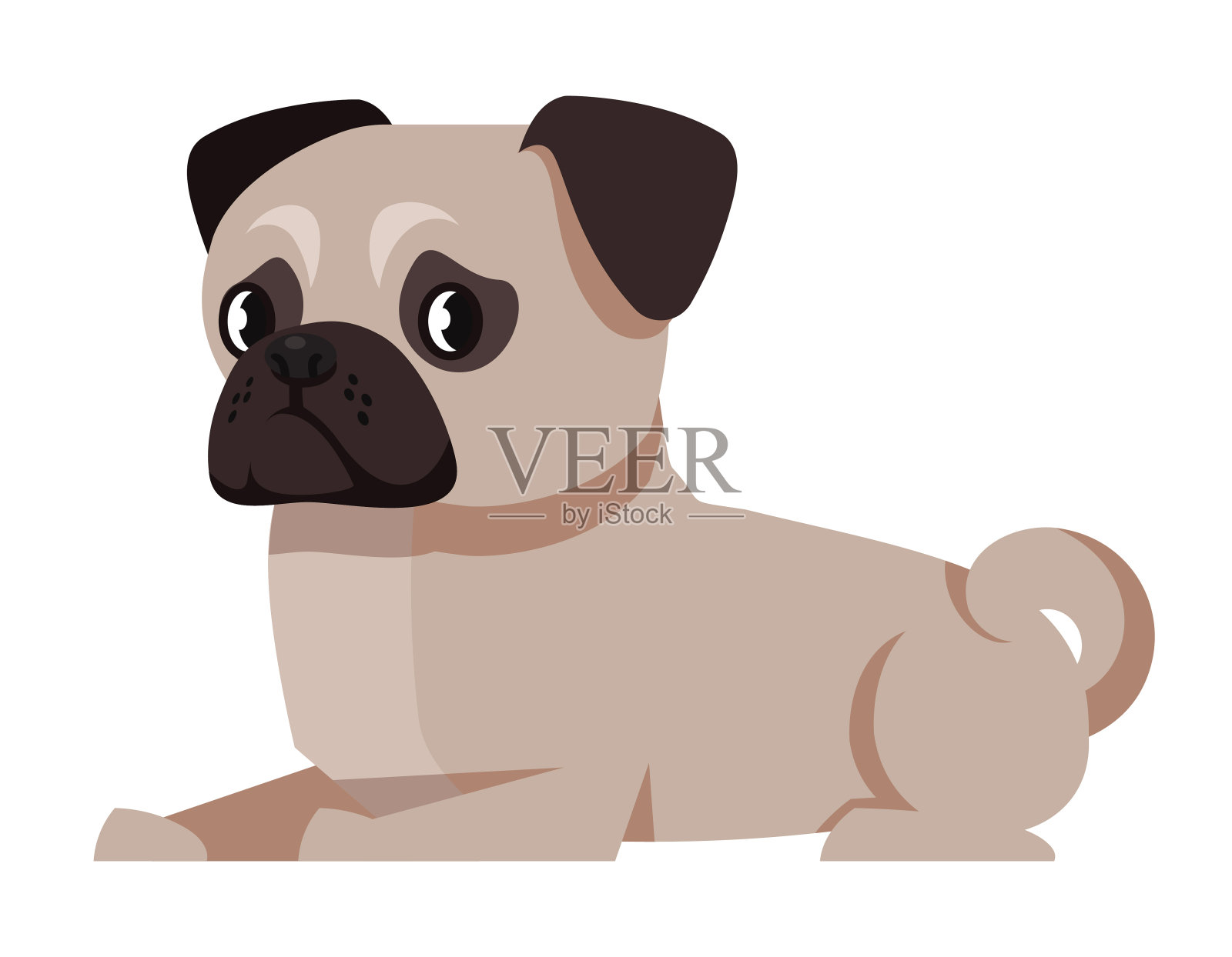 躺着的帕格侧视。插画图片素材