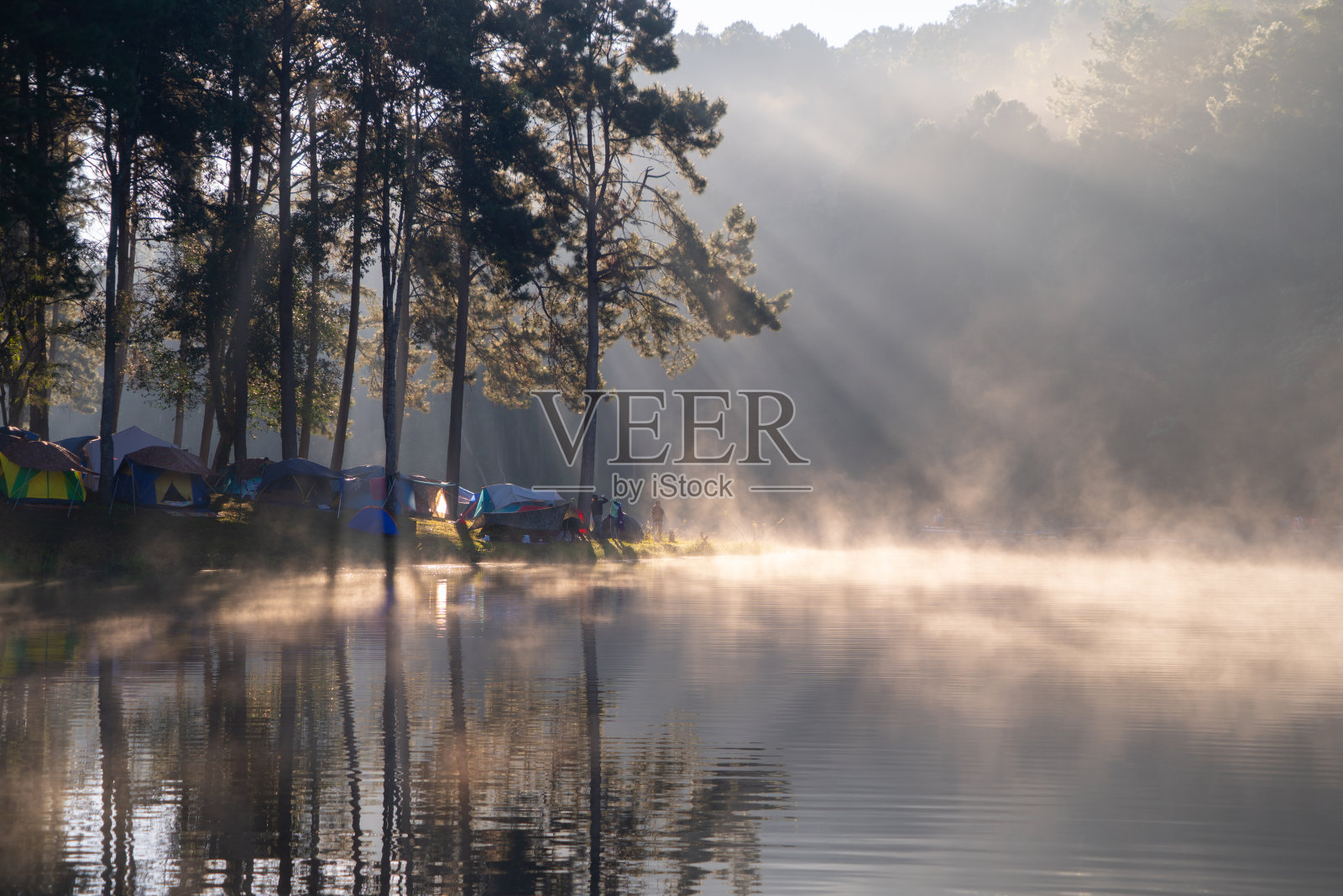 雾或薄雾在河湖与森林树木庞翁水库，Mae Hong Son，泰国。旅游景点，青松环抱，群山环抱，倒影映水。照片摄影图片