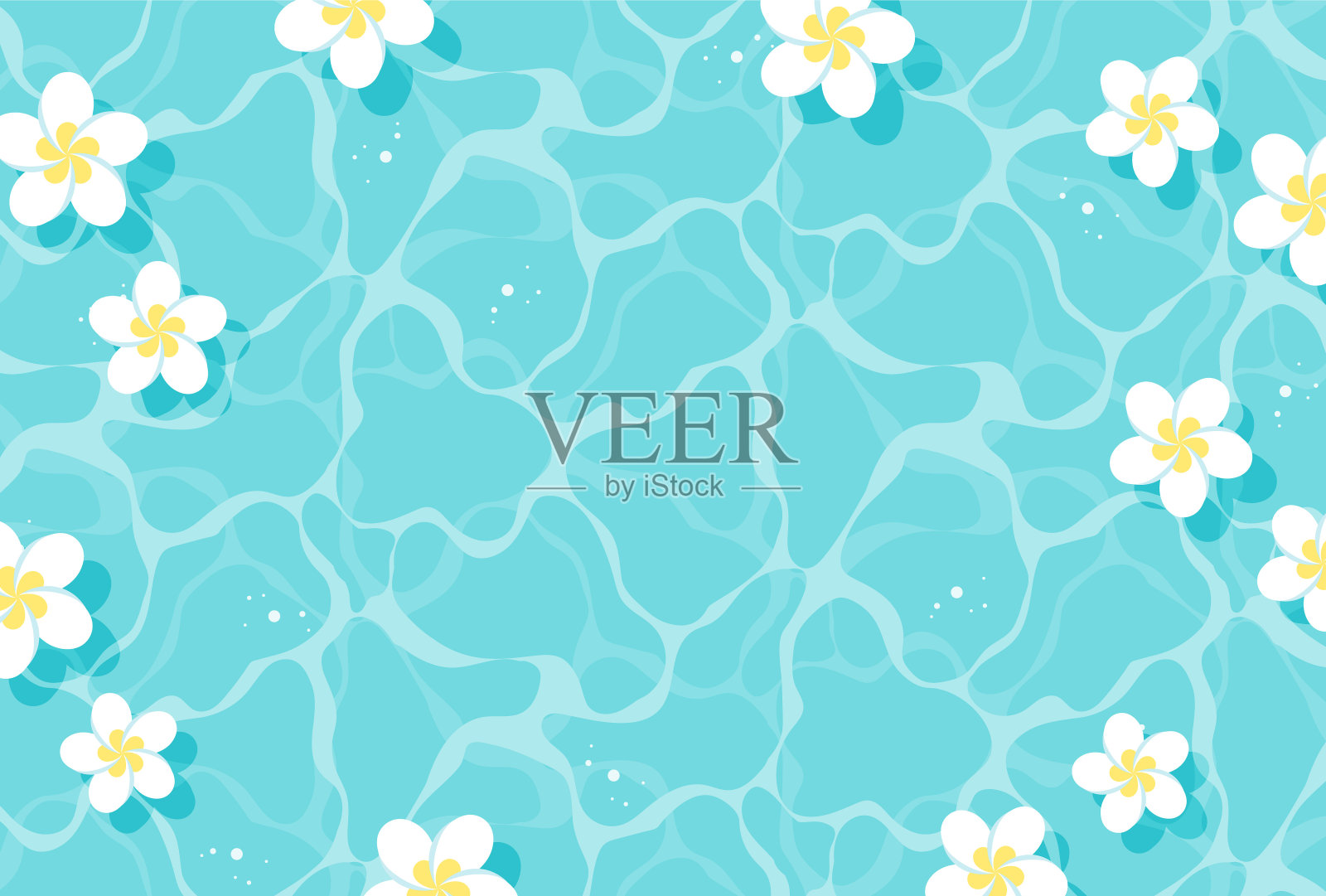 矢量背景与鸡蛋花漂浮在水中的横幅，卡片，传单，社交媒体壁纸等。插画图片素材