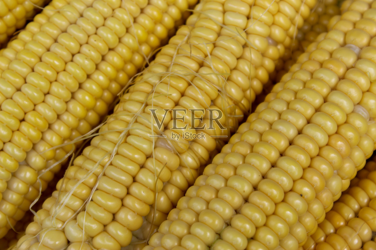 新鲜收获的玉米，特写。照片摄影图片