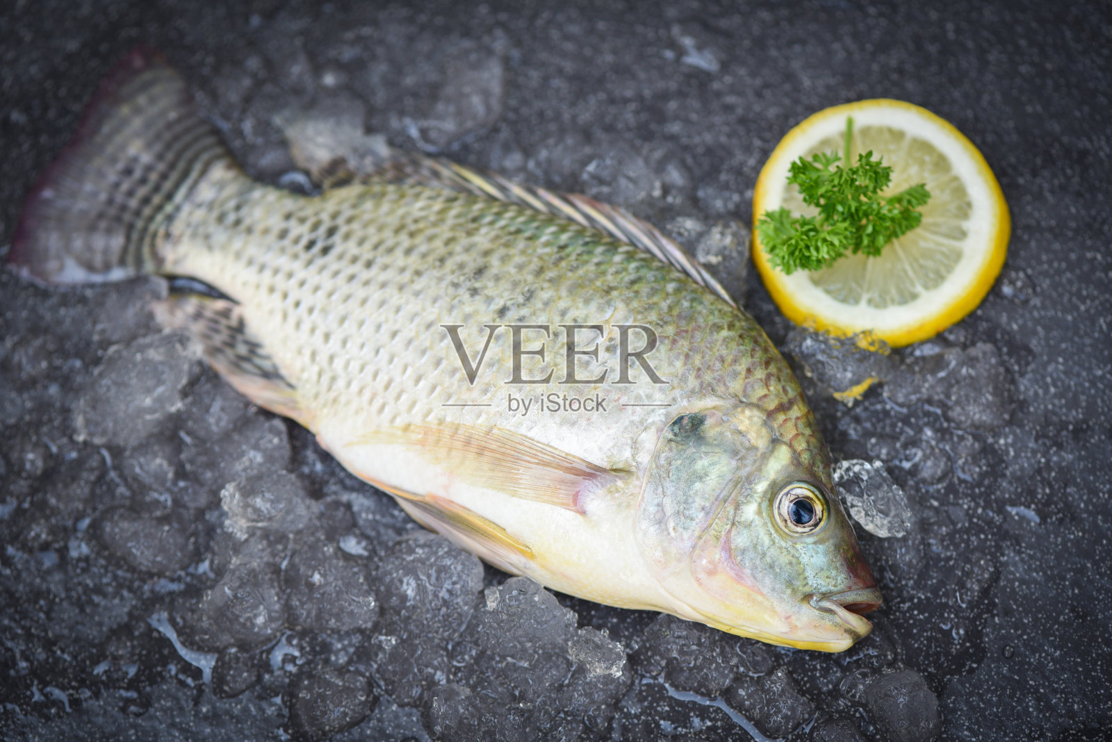 罗非鱼淡水烹饪食物在亚洲餐厅，新鲜生罗非鱼从农场冰市场的食物与香草和香料柠檬，新鲜的鱼俯视图照片摄影图片