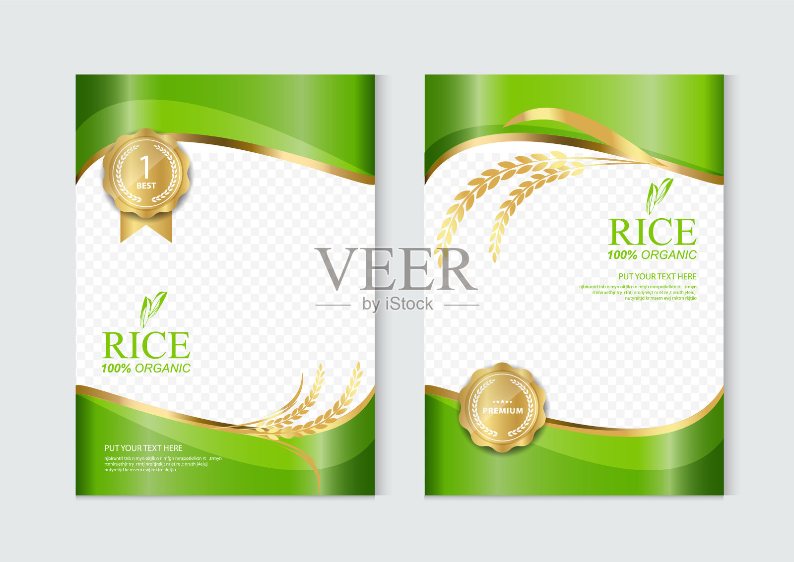 大米食品或泰国食品横幅和海报模板插画图片素材