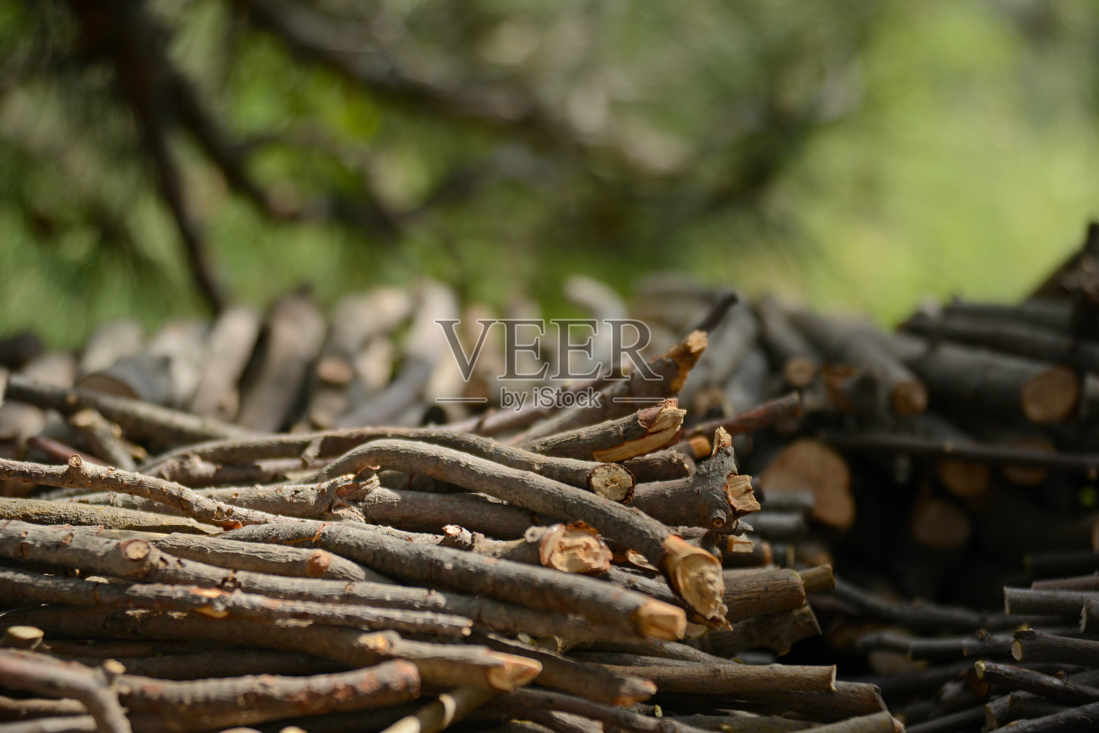 原木照片摄影图片
