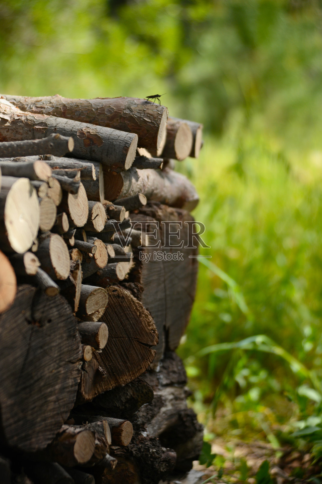 柴火股票照片摄影图片
