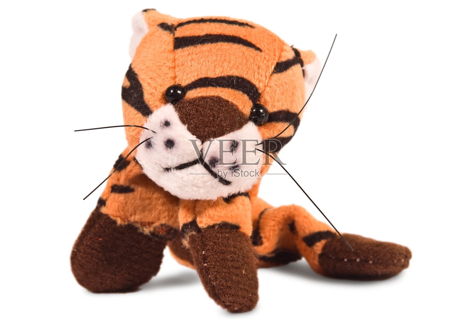 美丽的老虎照片摄影图片