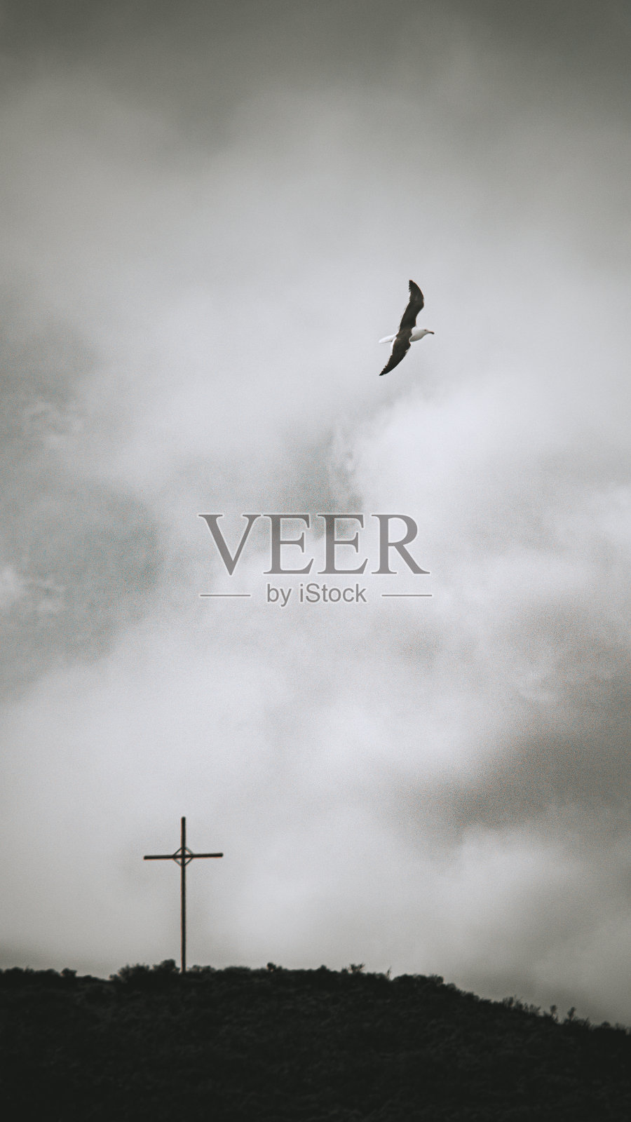 阿根廷的风景照片摄影图片