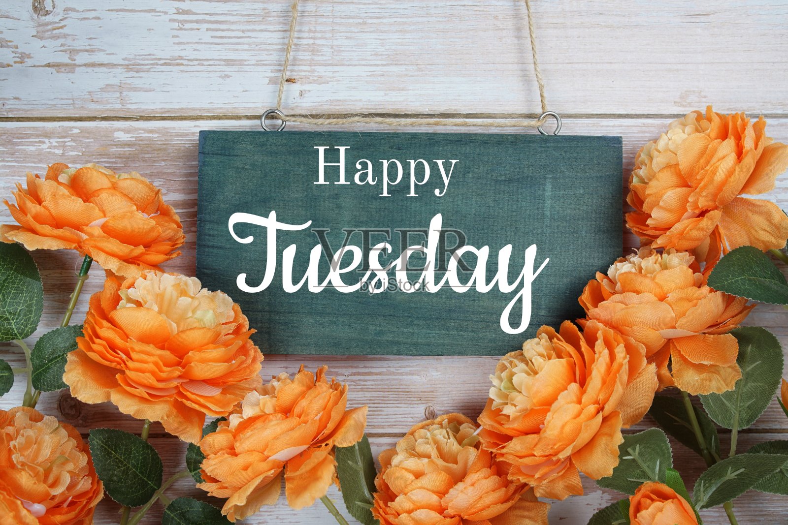 快乐星期二排版文字与花装饰木制背景照片摄影图片