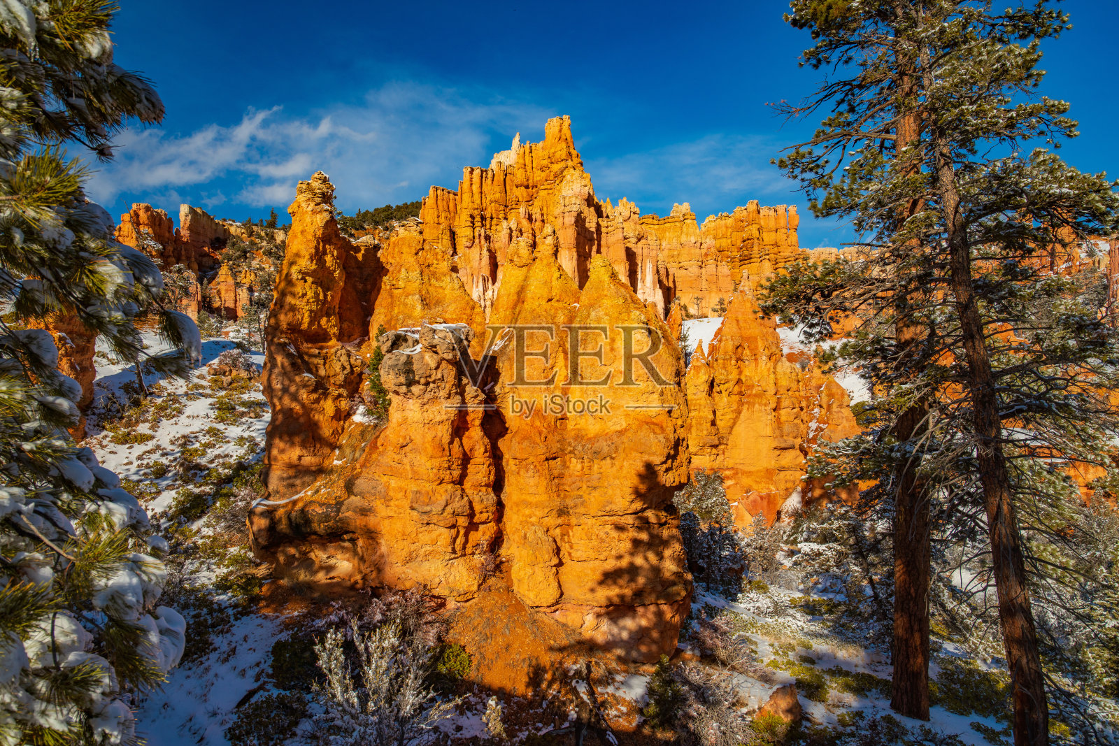 冬天布莱斯峡谷的hoodoo照片摄影图片