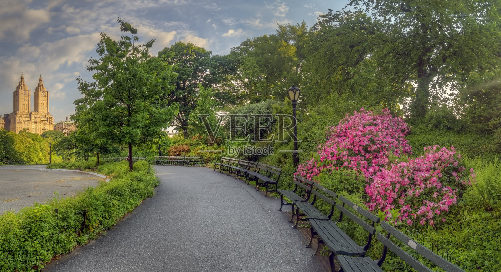 春天的中央公园照片摄影图片