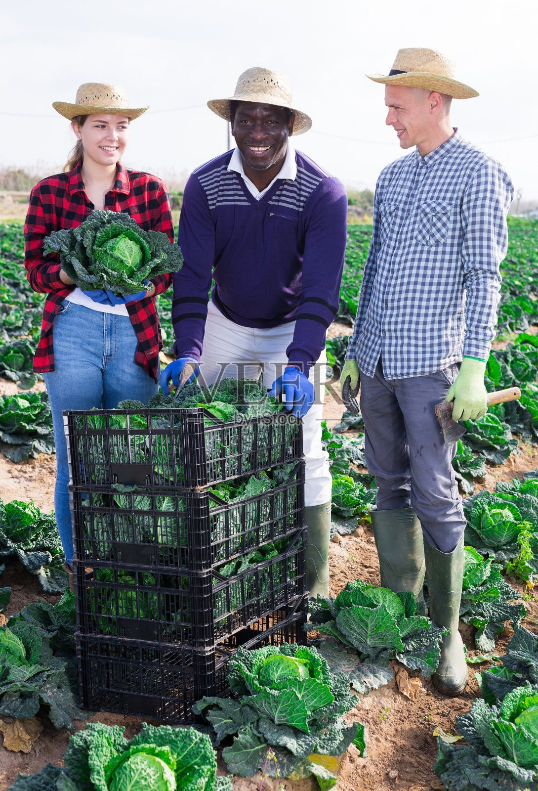 微笑的职业农民男女在一个种植园摆姿势照片摄影图片