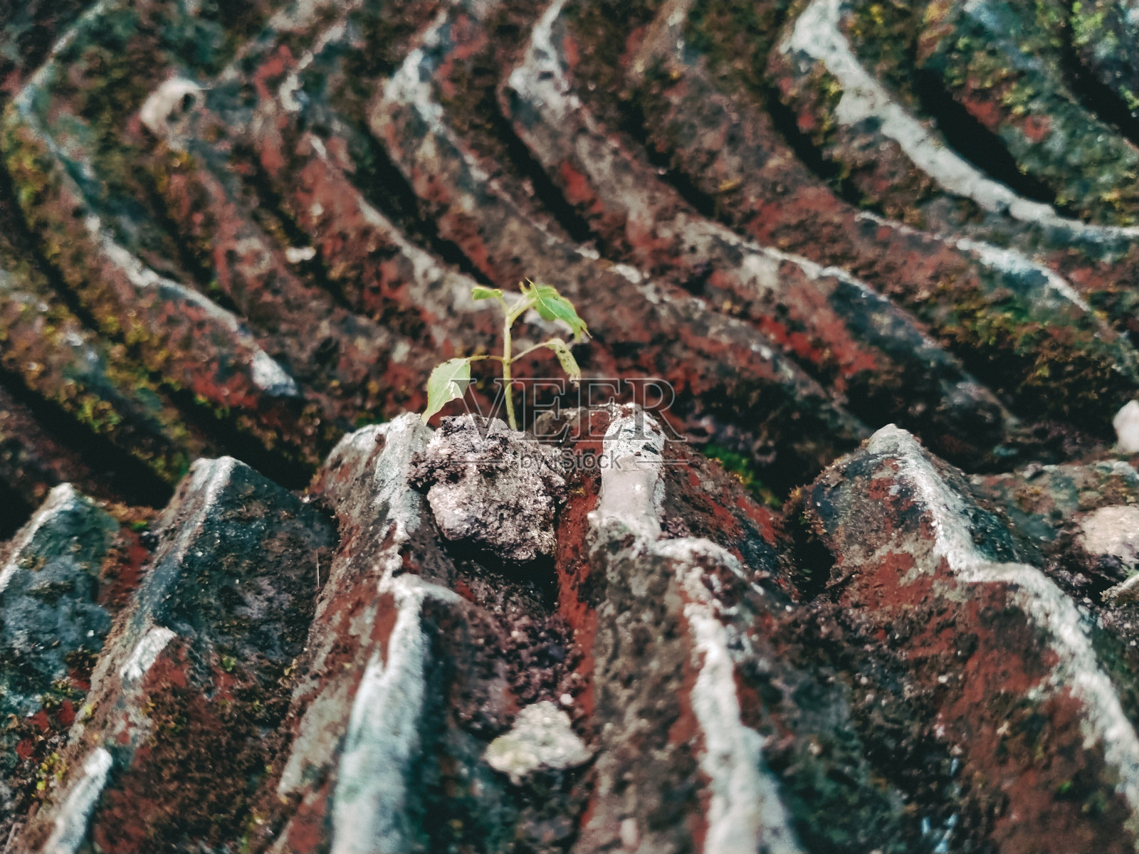 一个小工厂照片摄影图片