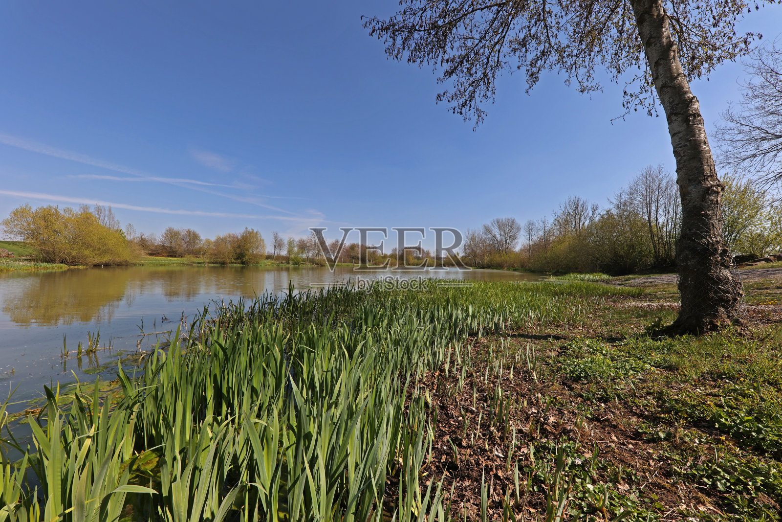 宁静的湖在一个晴朗的日子照片摄影图片