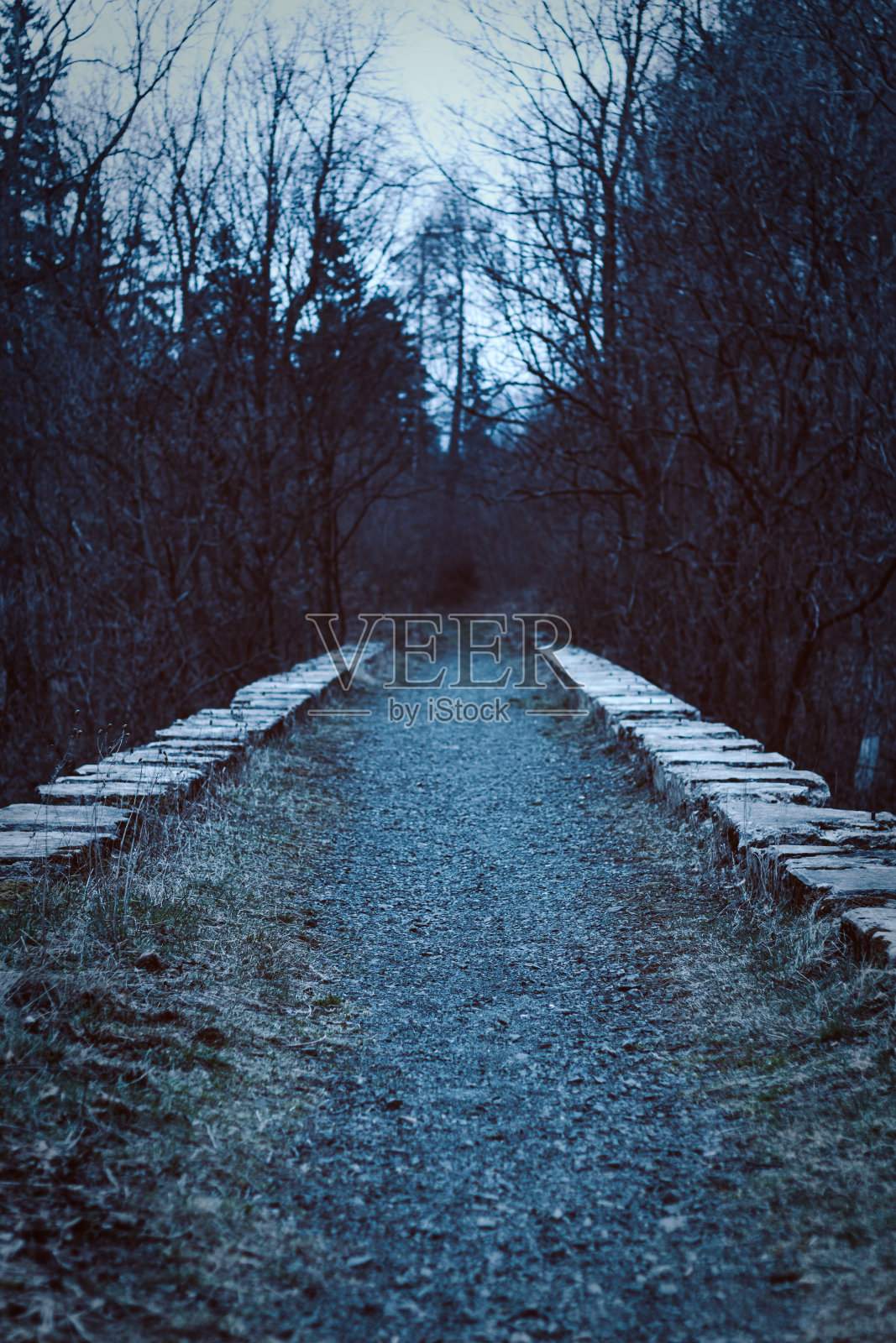 废弃的石质铁路高架桥在山林中照片摄影图片