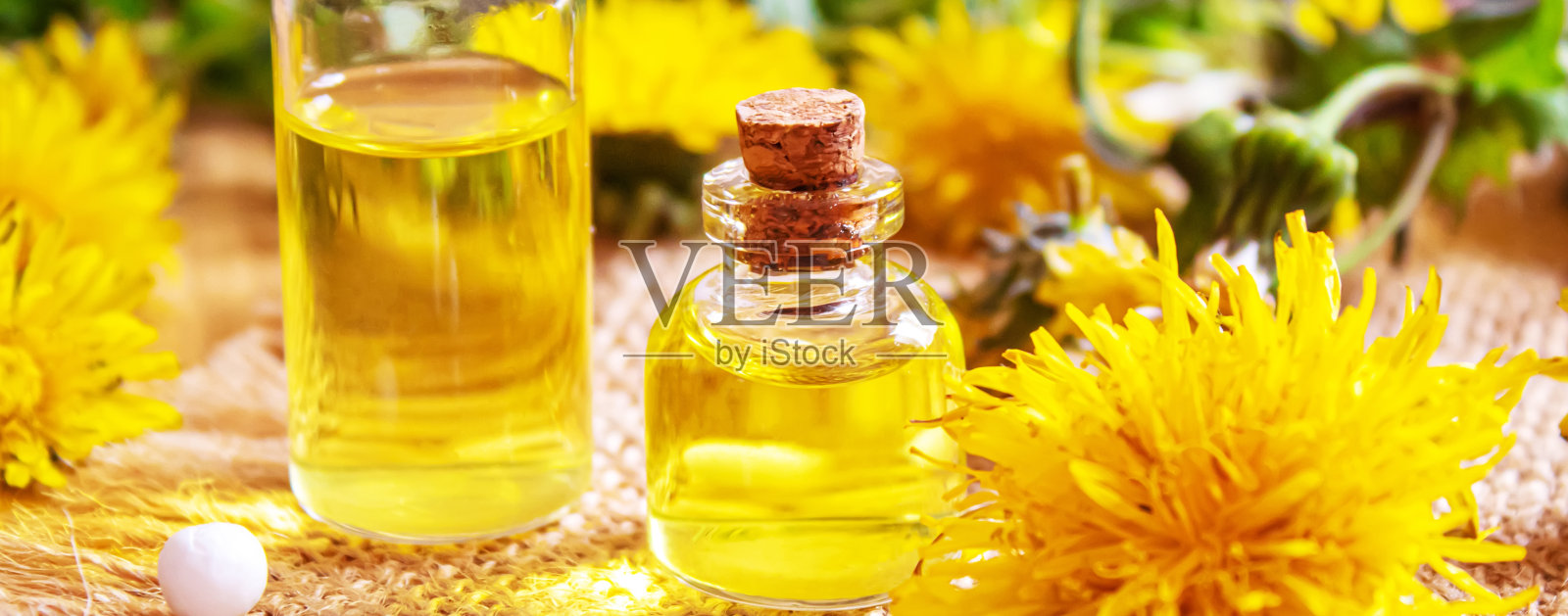 白屈菜蒲公英提取物小瓶，治疗，药物，酊剂。有选择性的重点照片摄影图片