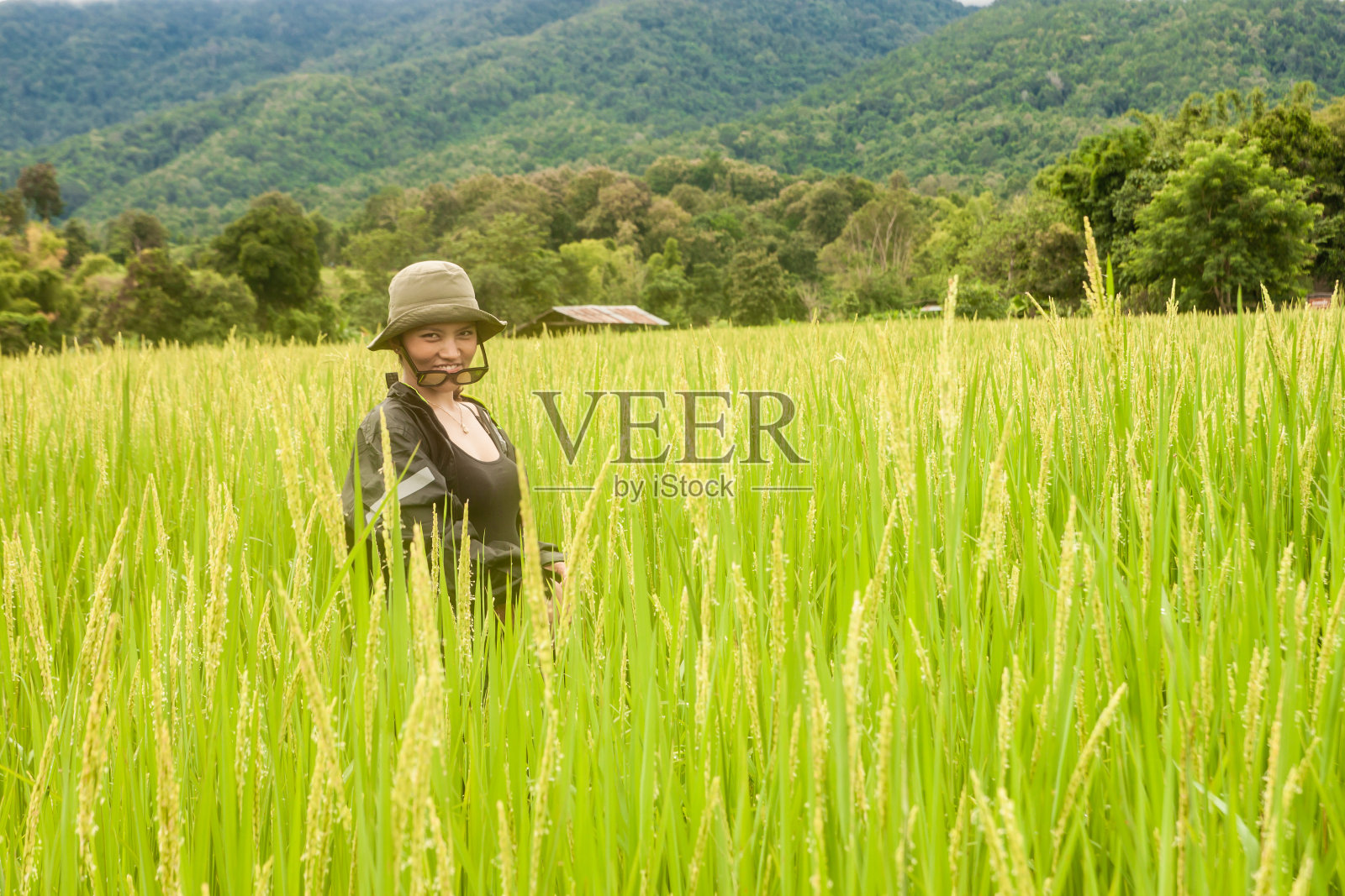 稻田里的独自旅行者照片摄影图片