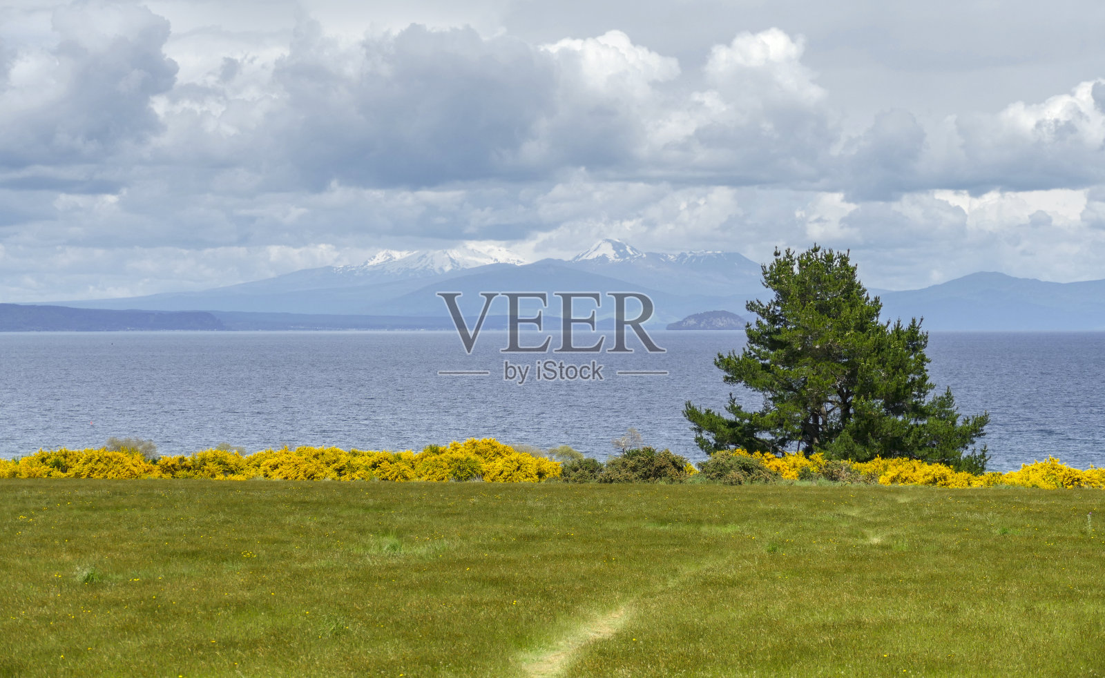 新西兰的陶波湖照片摄影图片