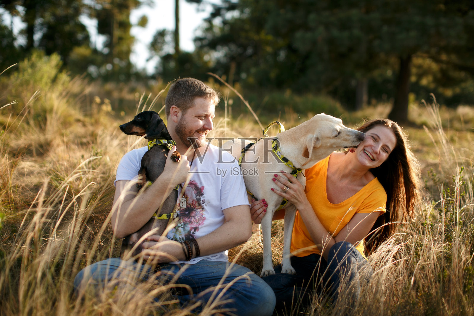 一对年轻夫妇和他们的狗坐在草地上照片摄影图片