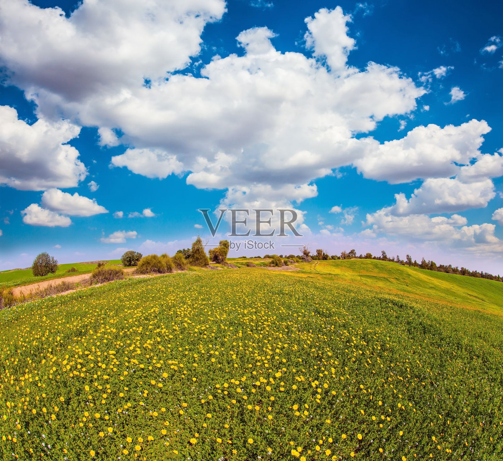 四月里阳光明媚的一天照片摄影图片