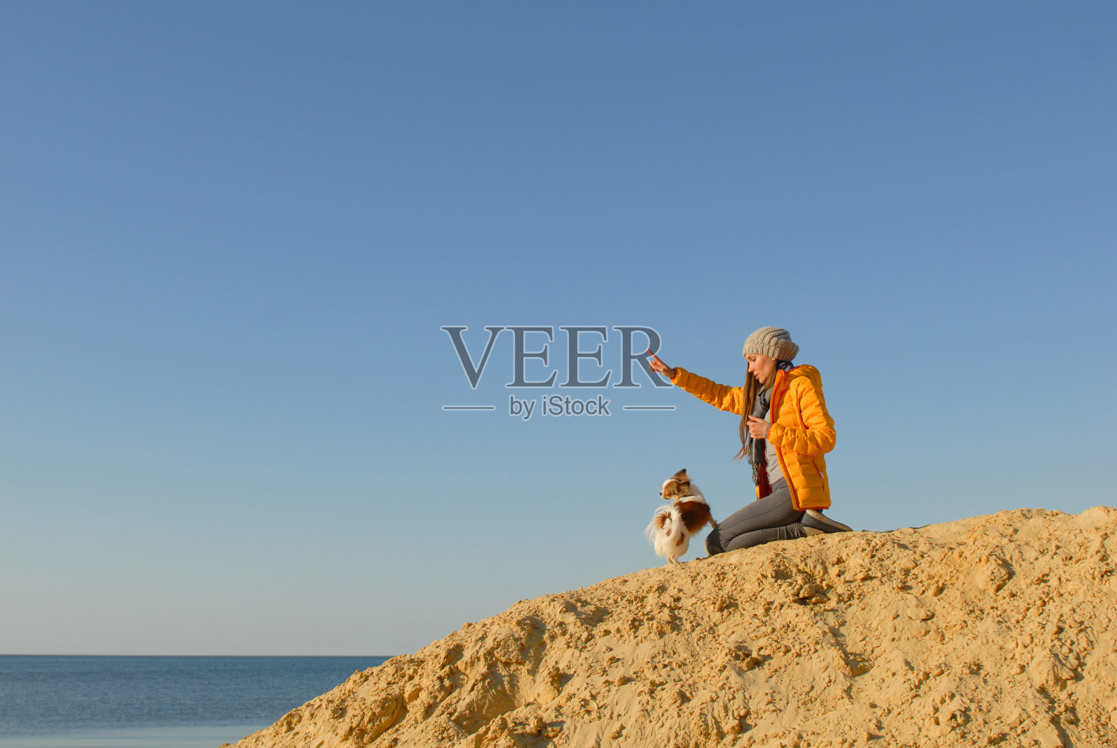 动物训练概念穿着黄色夹克的年轻女子坐在沙滩上的沙丘上，为小狗吉娃娃复制空间做出手势订单照片摄影图片