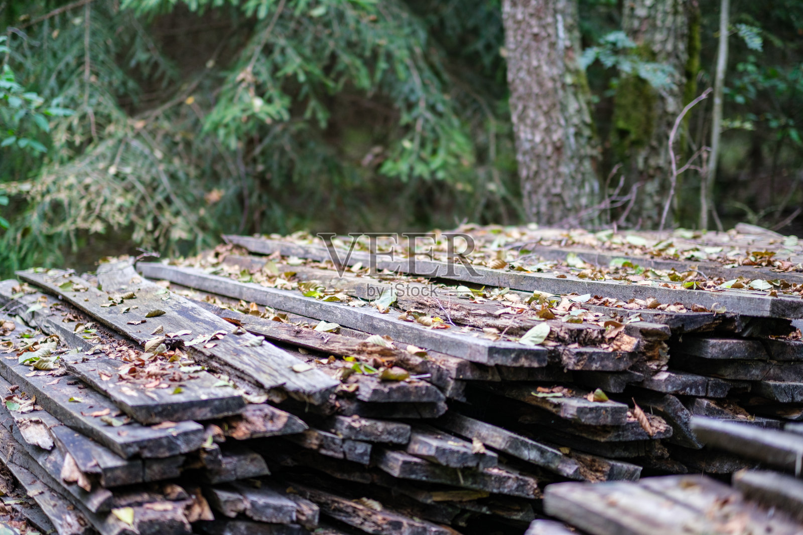 乡下的一堆老圆木照片摄影图片