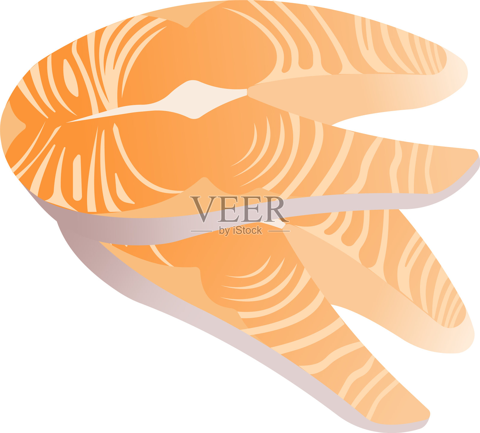 把红色的鱼分开放在白色的鱼片上插画图片素材