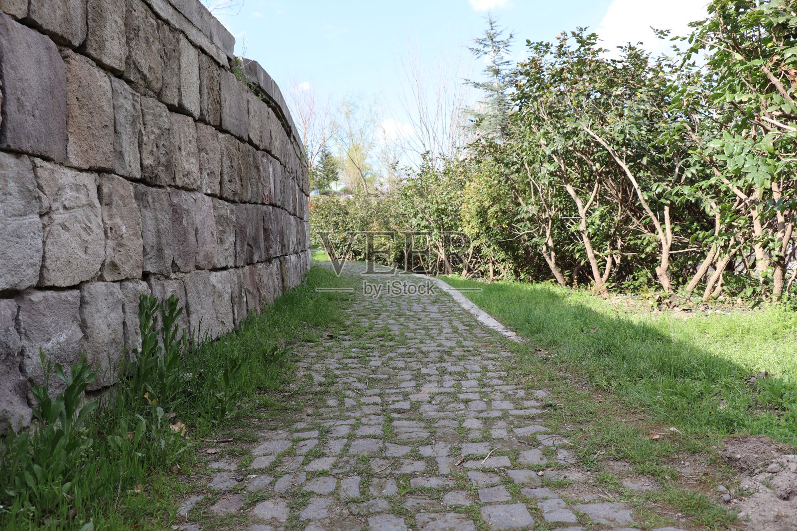 自然的照片照片摄影图片