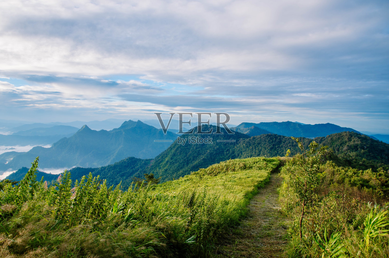 泰国清莱府富士发视点照片摄影图片