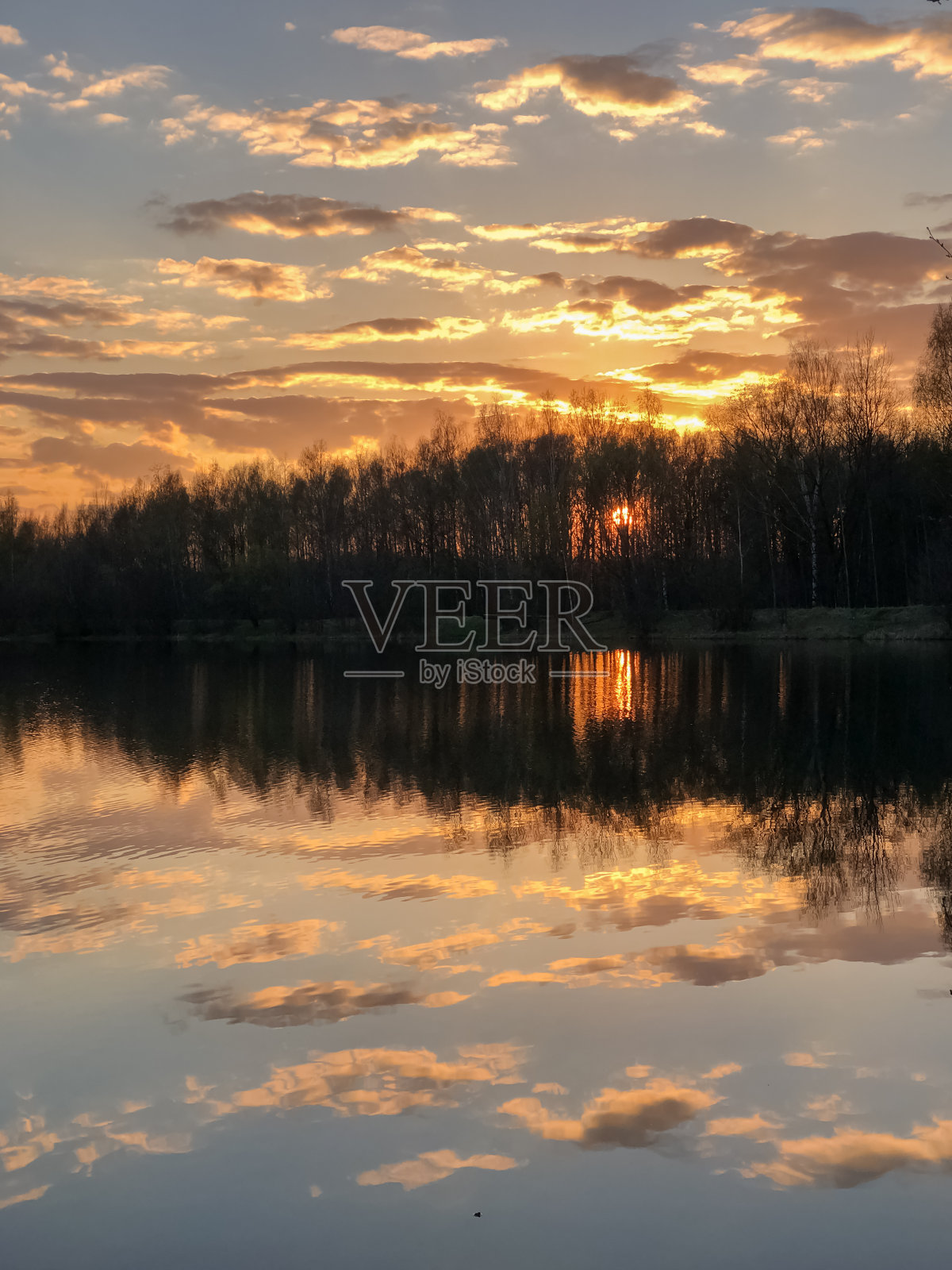 戏剧性的多云天空反映在森林湖泊的水在日落与树木的剪影在地平线上照片摄影图片