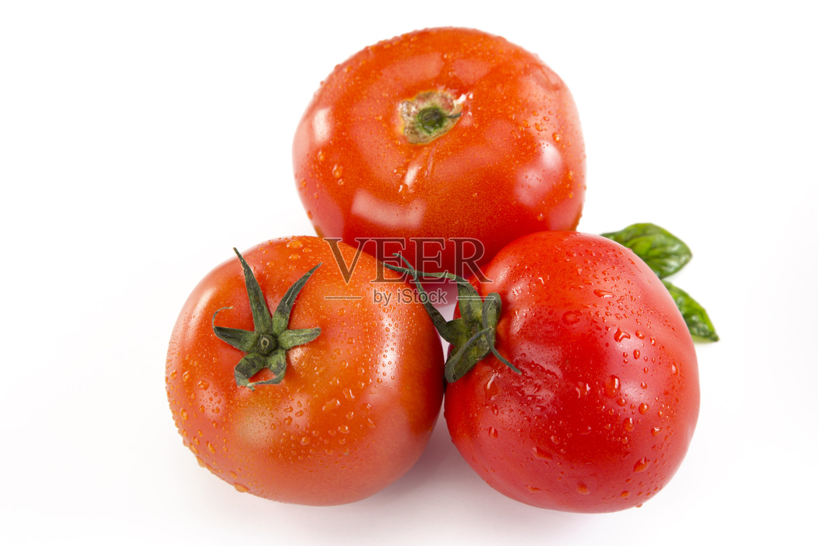 西红柿照片摄影图片