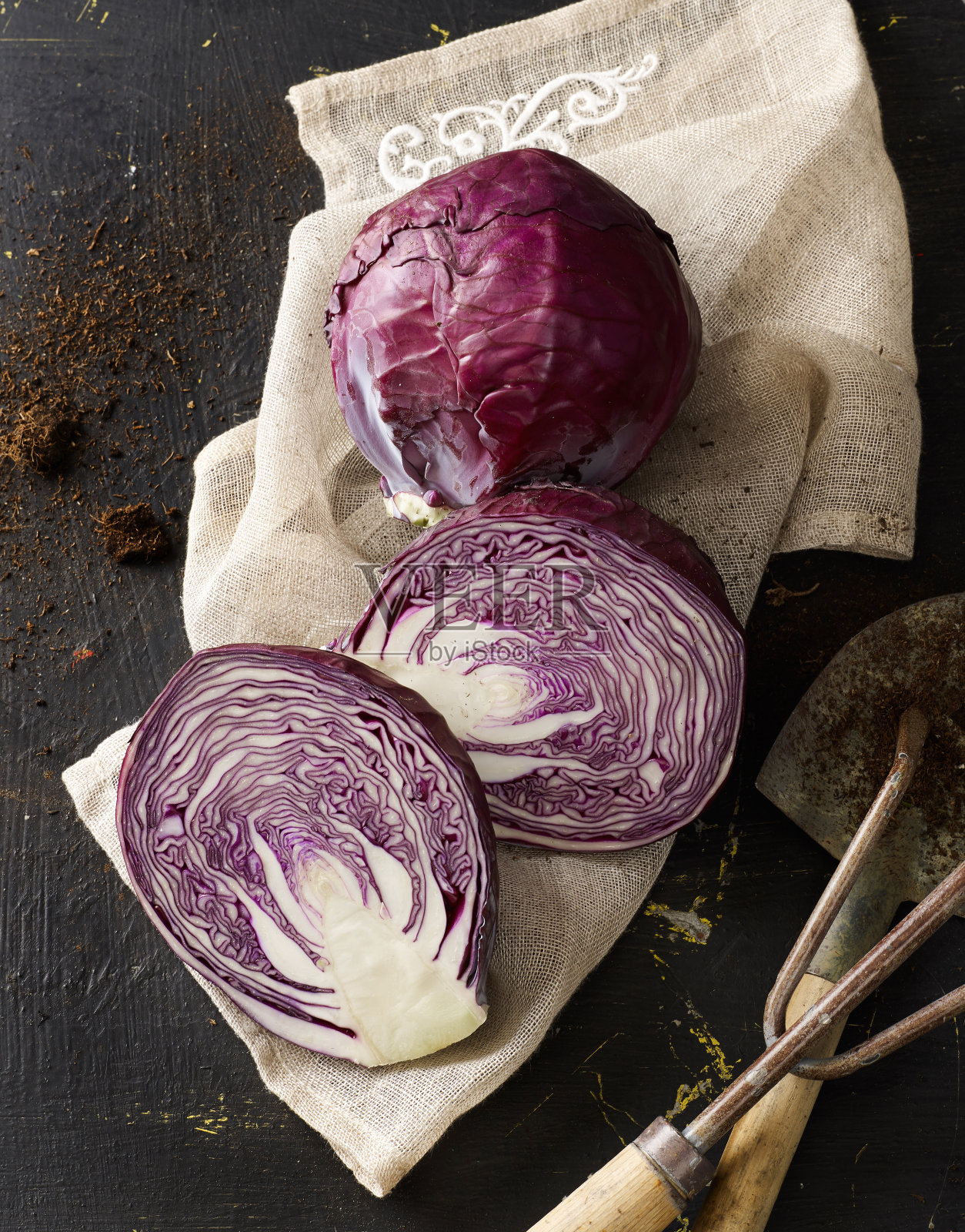 家里种红白菜照片摄影图片