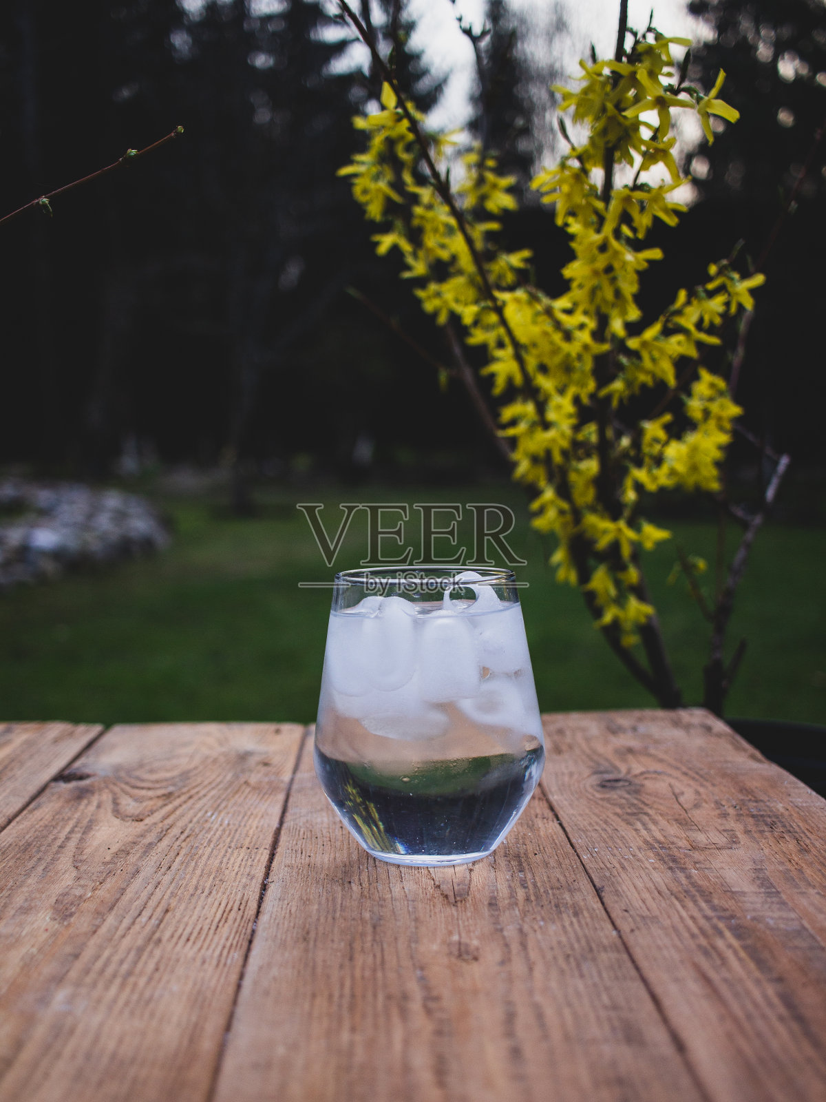 一杯大自然中的冰水照片摄影图片