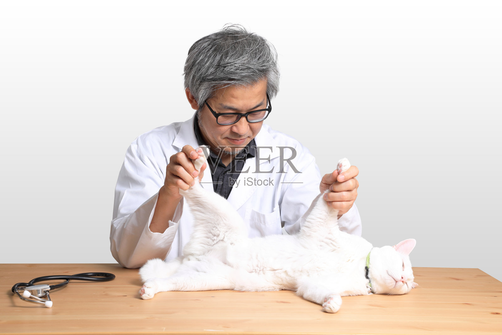 兽医照片摄影图片