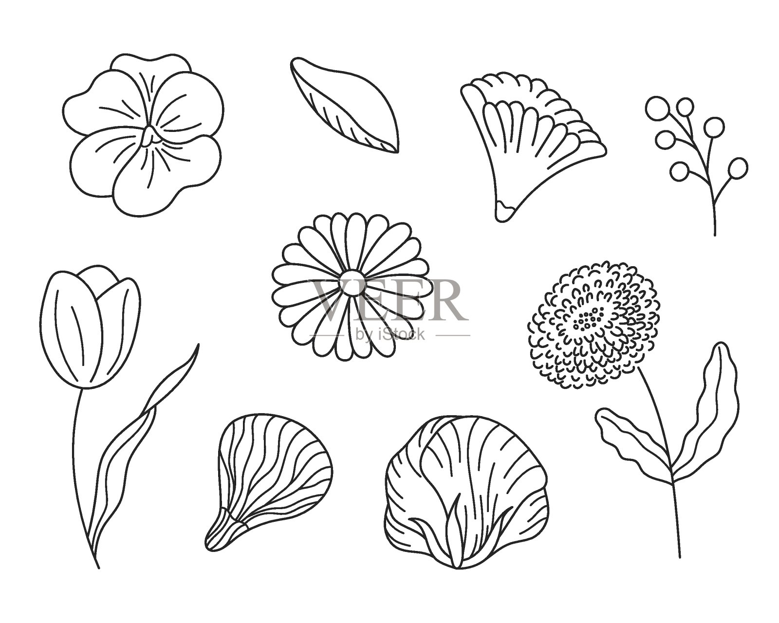 手绘花枝素描插画图片素材