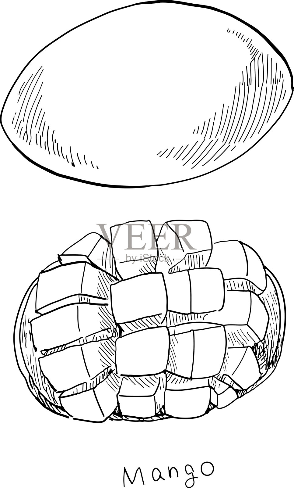 两幅芒果手绘水笔画。插画图片素材