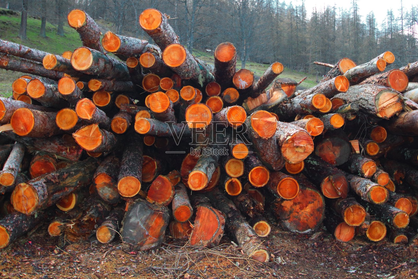 木铸得不整齐照片摄影图片