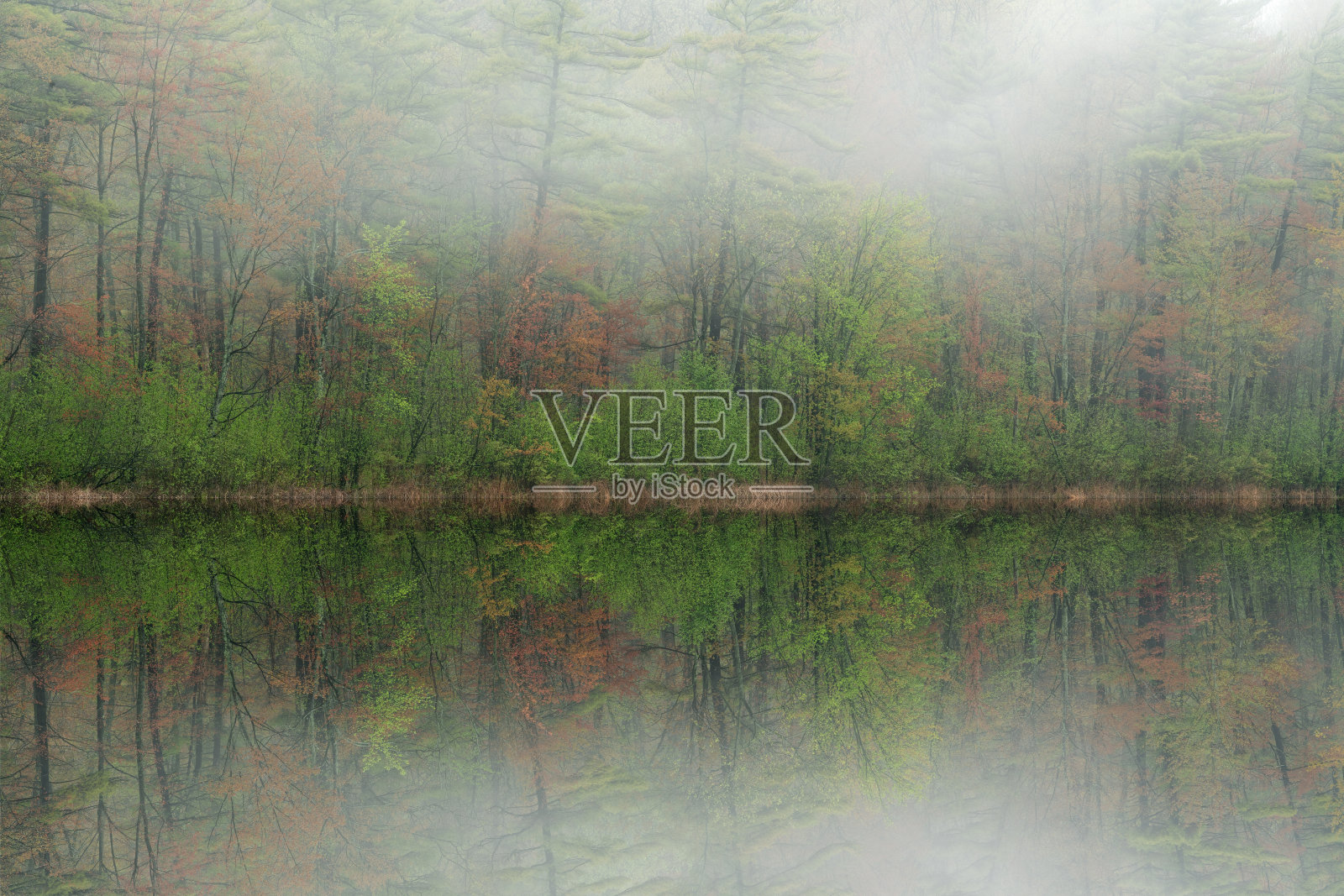 春映长湖照片摄影图片