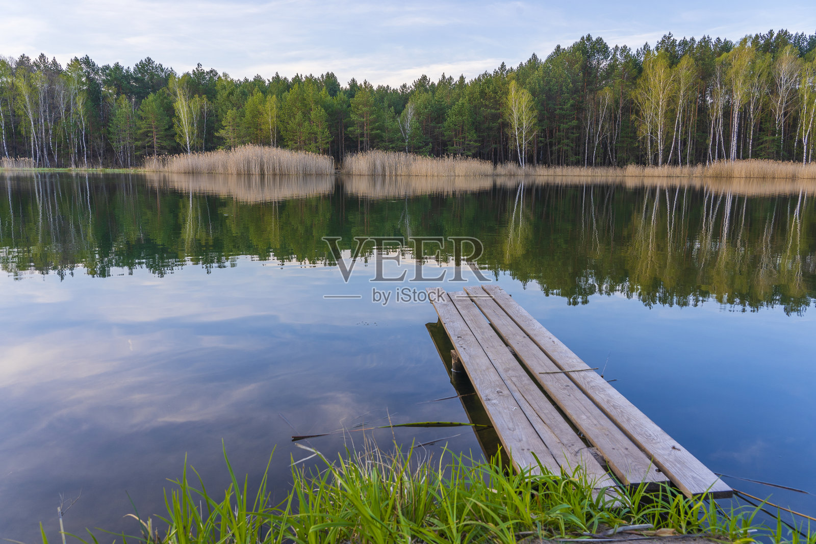 木制码头和春天森林在一个平静的湖在乌克兰。自然与旅游概念照片摄影图片