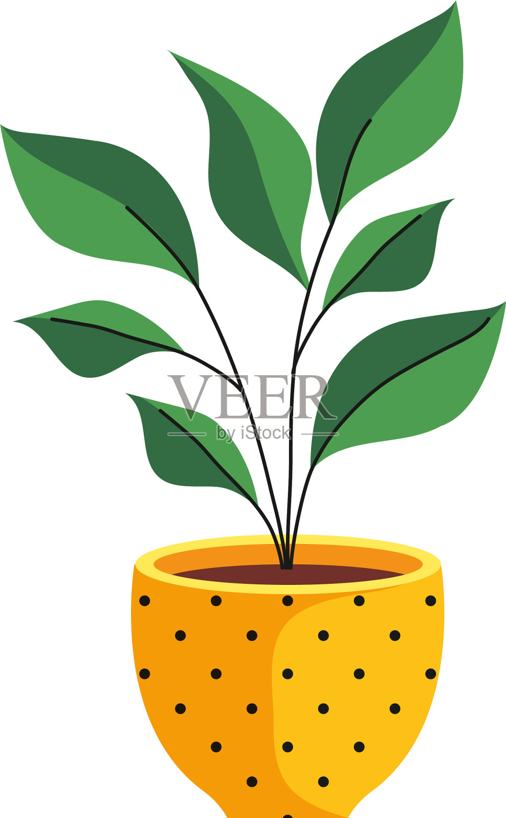 室内植物在陶瓷花盆中黄色点缀设计元素图片