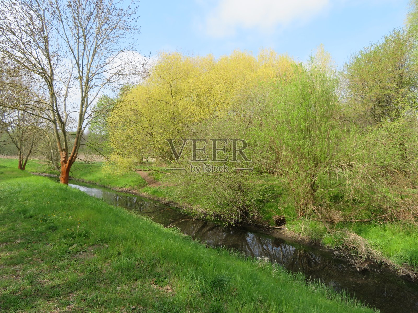 柏林乌勒河沿岸的风景照片摄影图片