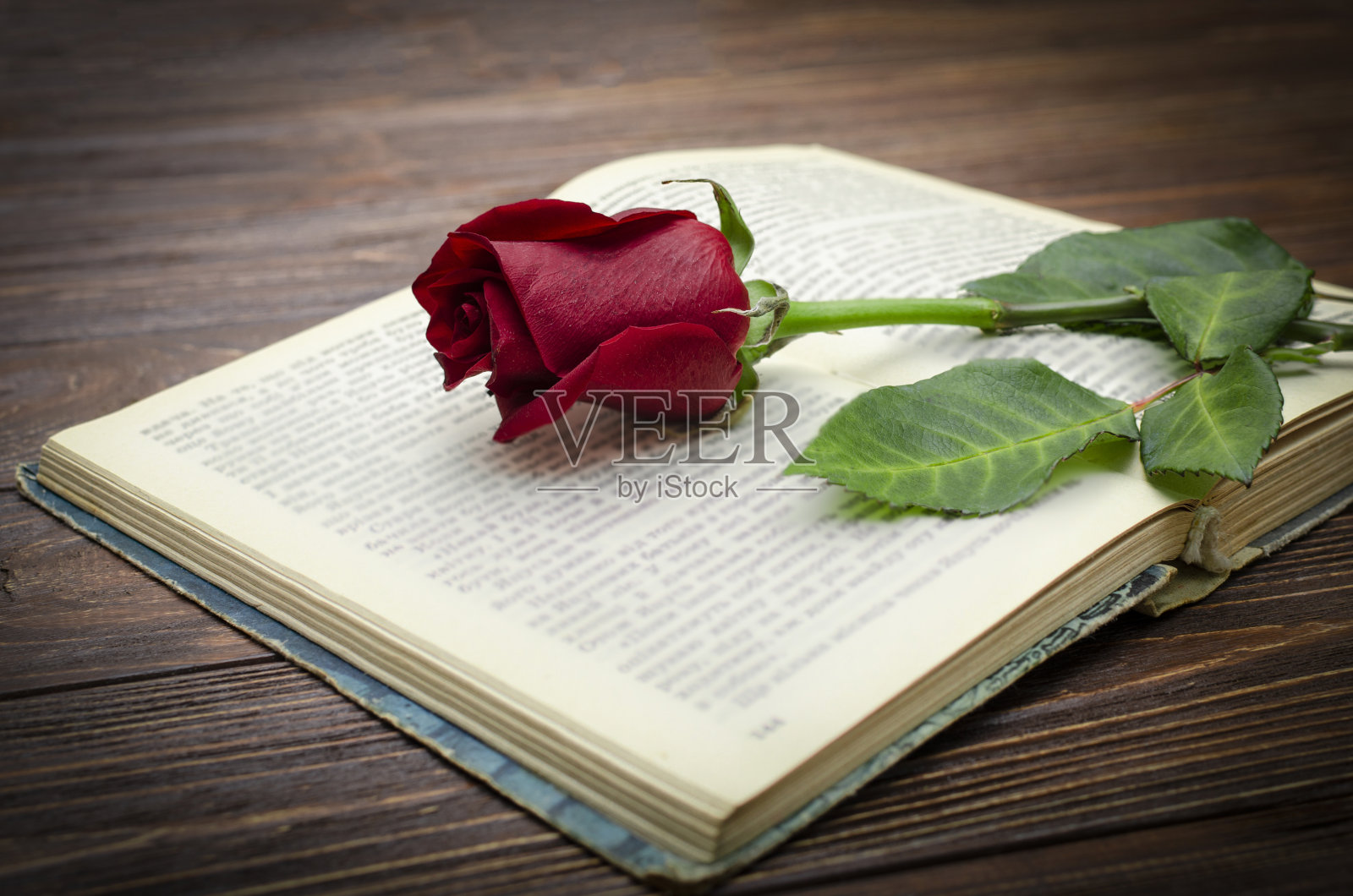 打开的书上有一朵红玫瑰照片摄影图片