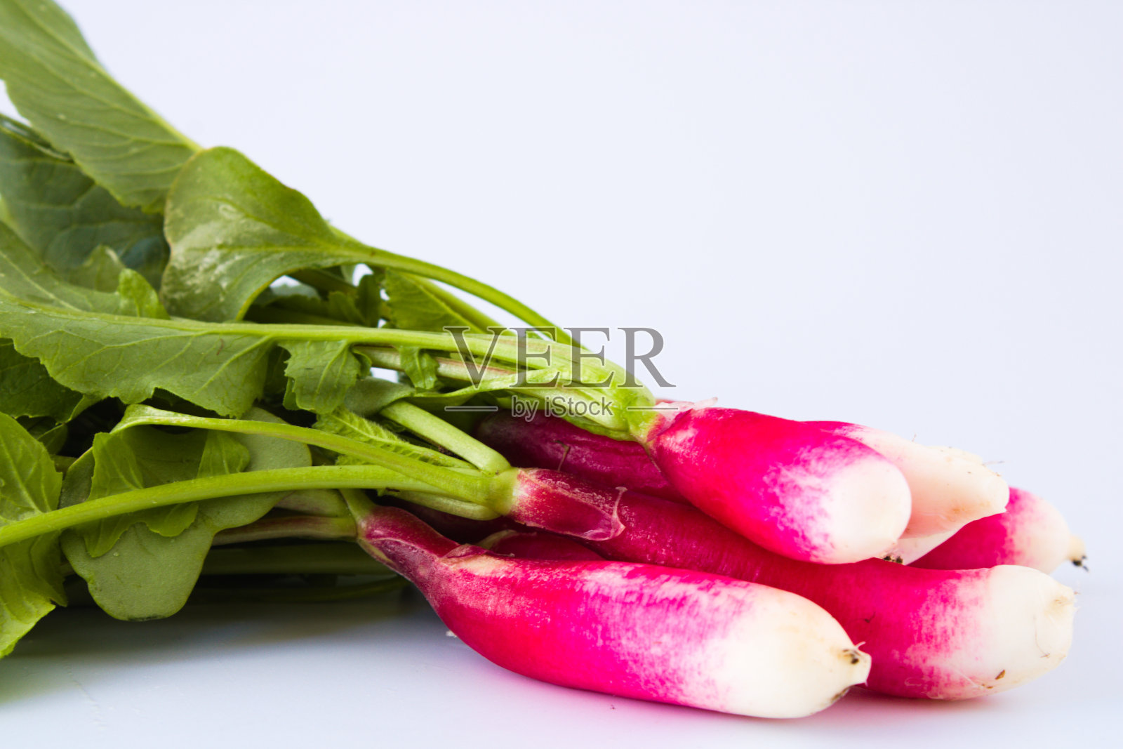 白色背景上孤立叶子的一束萝卜照片摄影图片