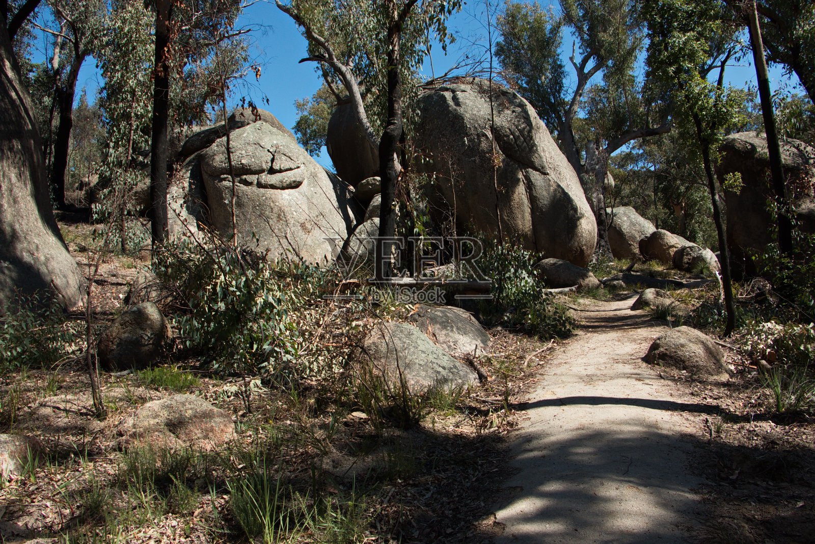 澳大利亚新南威尔士的Girraween国家公园照片摄影图片