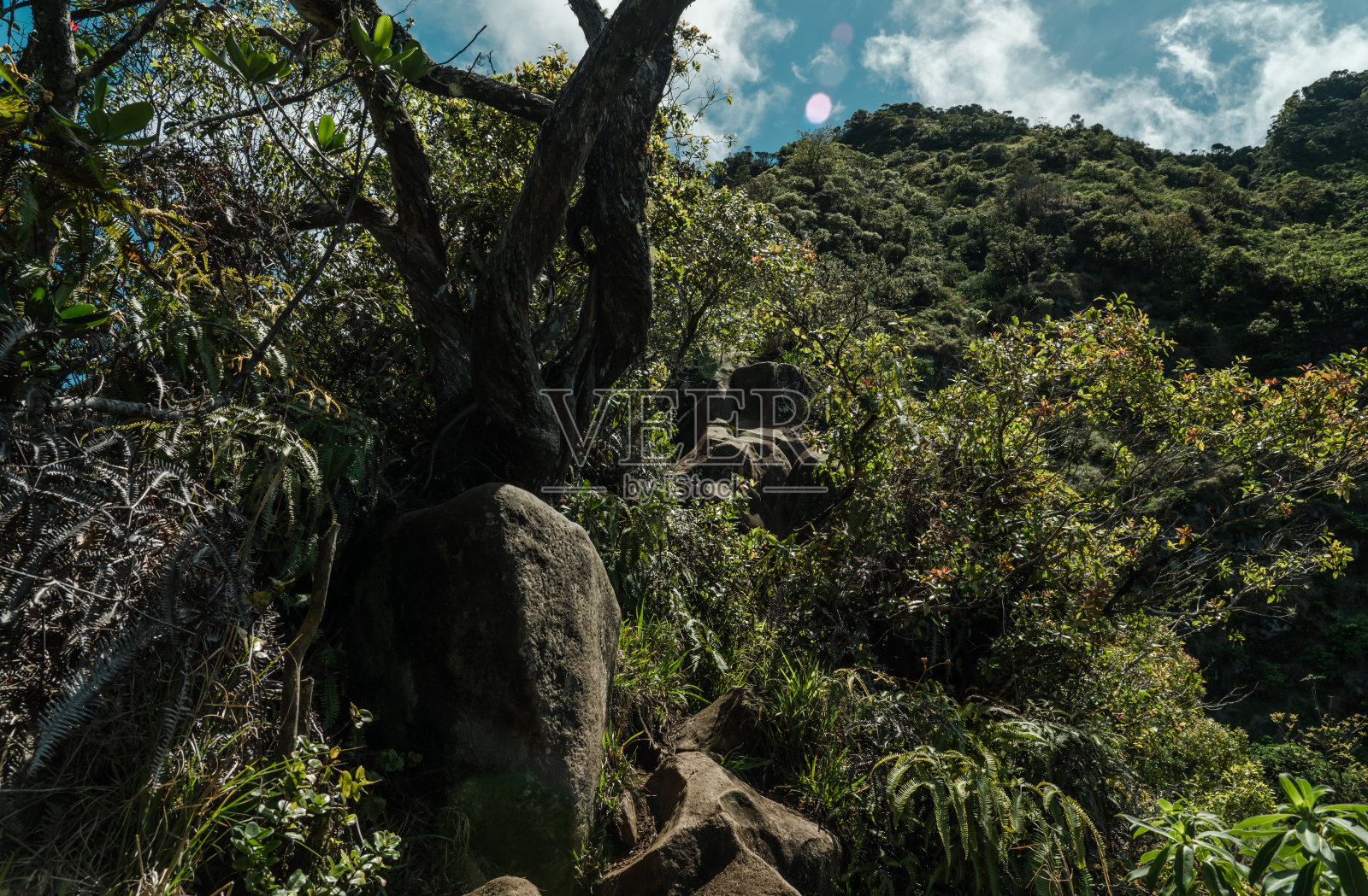 夏威夷瓦胡岛，卡拉山，怀阿纳山脉照片摄影图片
