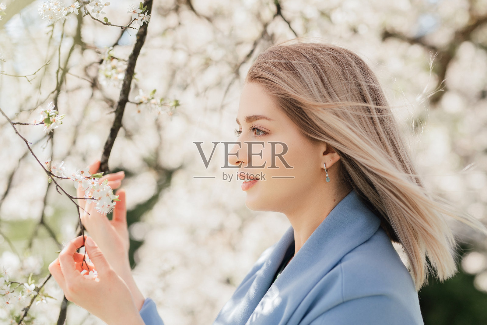 年轻美丽的金发女人在盛开的苹果园。照片摄影图片