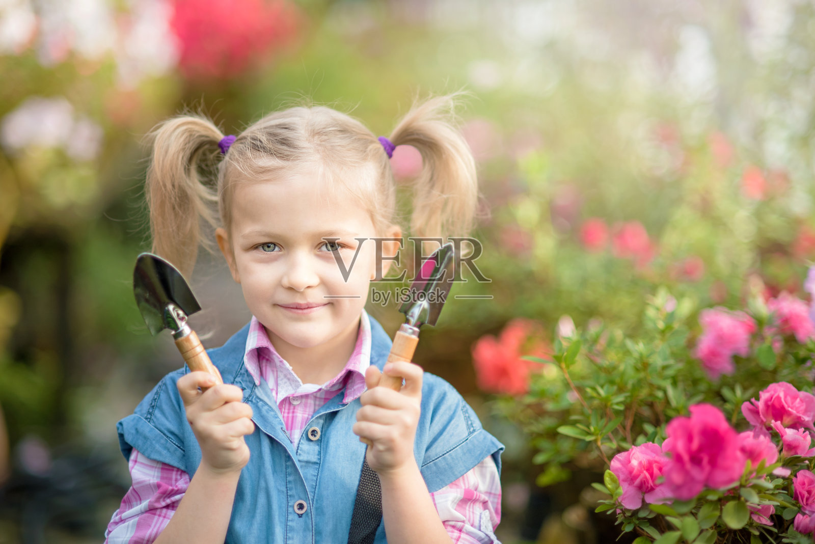 抱花篮的小孩。手持粉红色花朵的女孩照片摄影图片