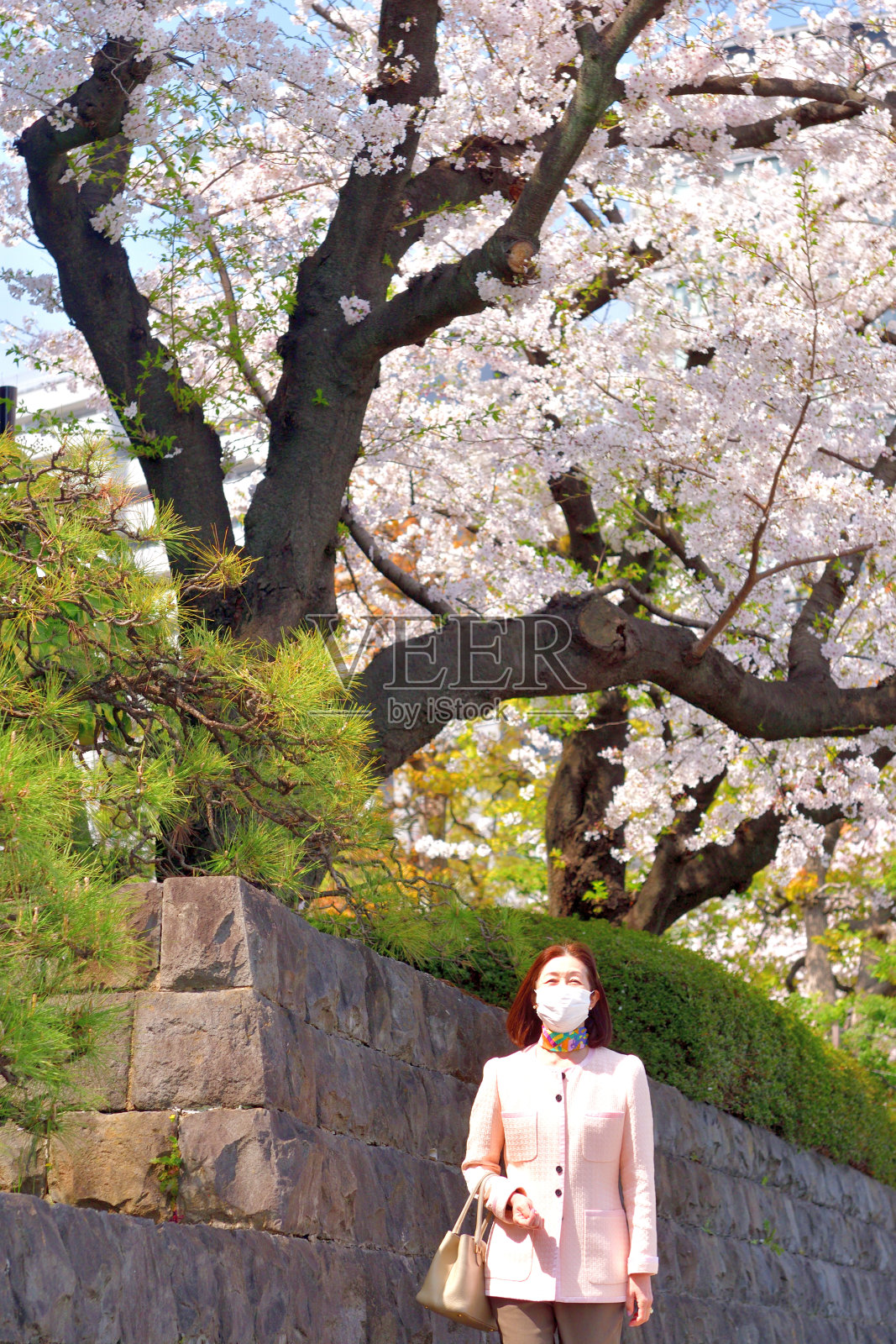 在东京主干道樱花树下散步的日本女人照片摄影图片