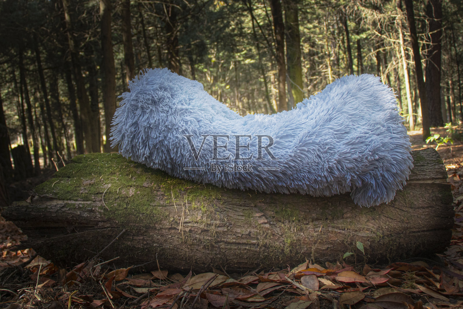 森林里的蓝色婴儿床毯照片摄影图片