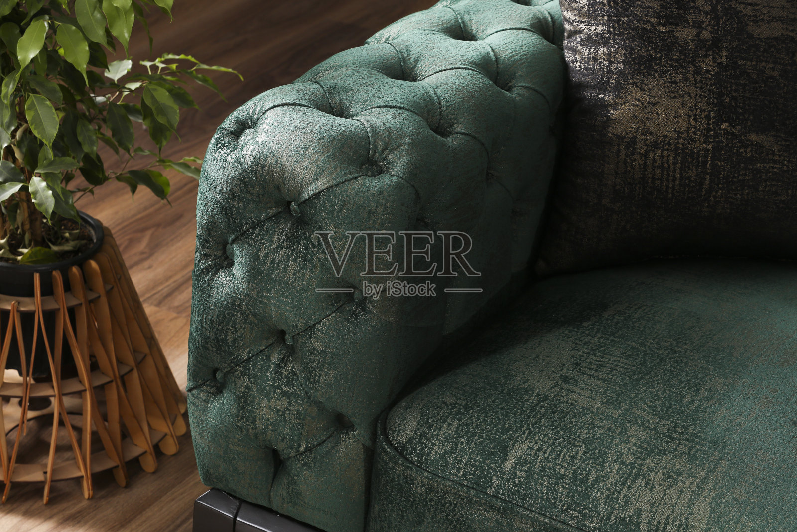 现代室内沙发与绿色植物照片摄影图片