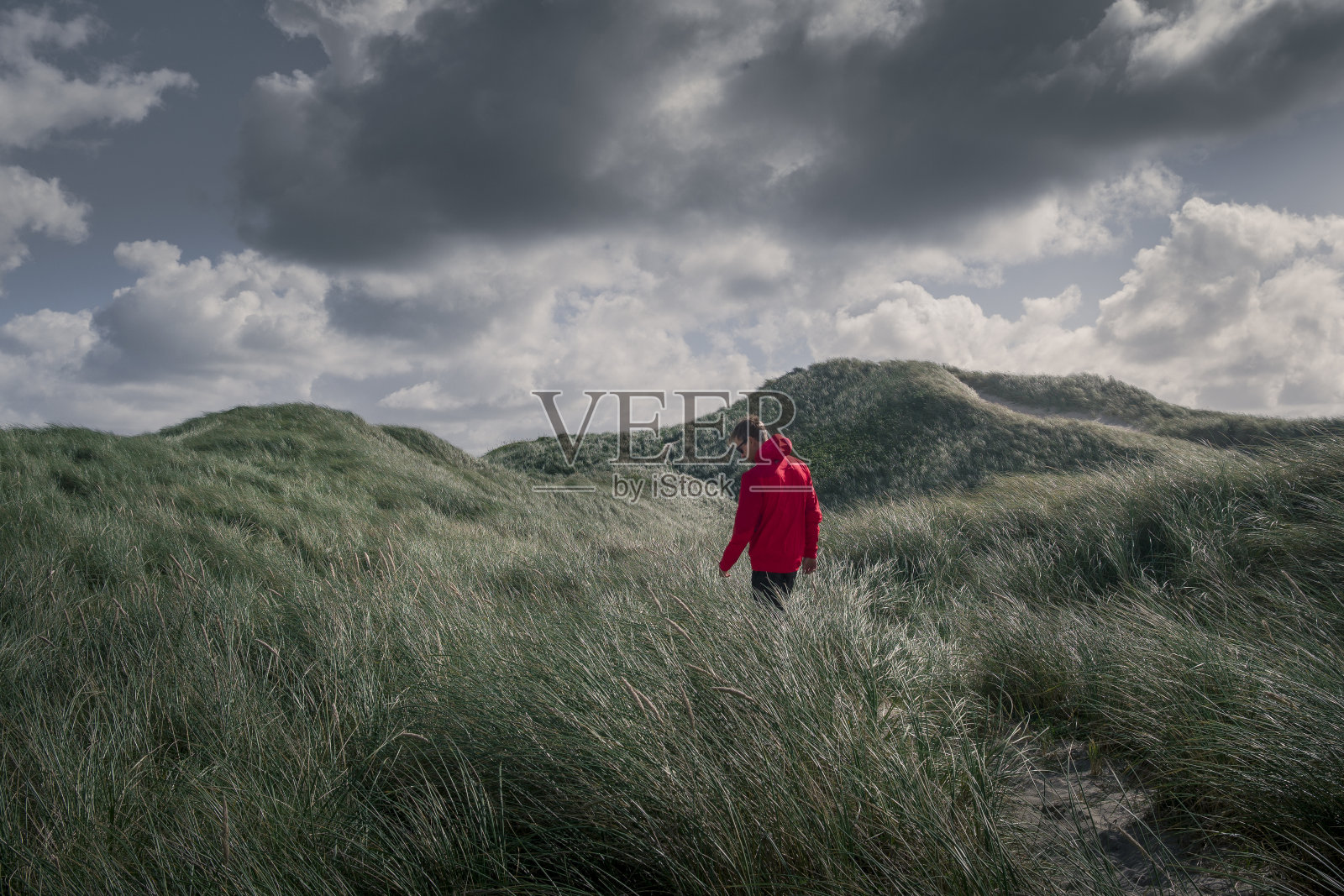 穿着红色夹克的男子在丹麦海岸的绿草沙丘上照片摄影图片