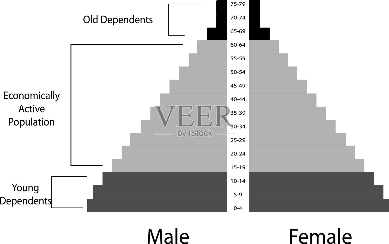 详细的人口金字塔图取决于年龄插画图片素材